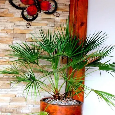 Casa de hóspedes Goscinne Kowalscy